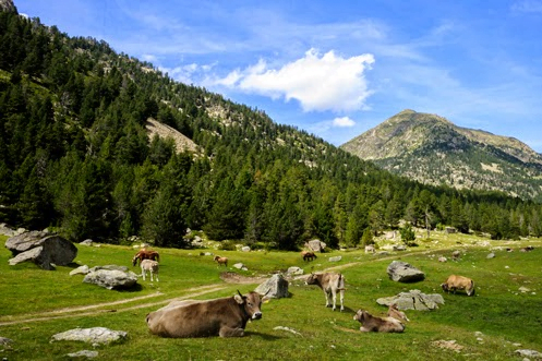 What to see in Cerdanya