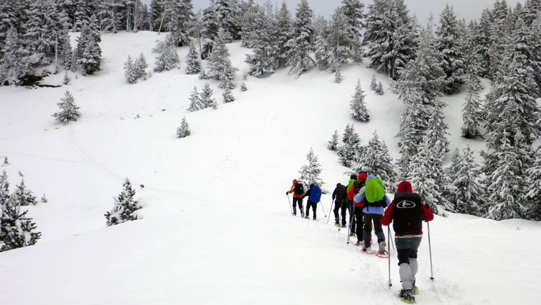 Descubre la Diversidad de la Cerdaña: Más Allá del Esquí